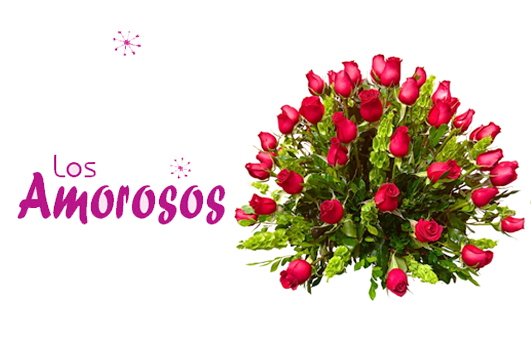 Categoria Amorosos - Flowerstore