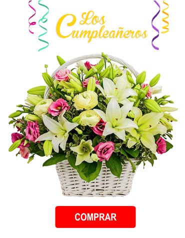 Categoria Cumpleaños - Flowerstore