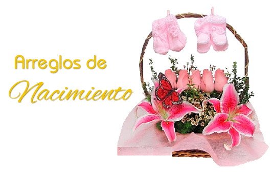 Categorias Nacimiento - Flowerstore