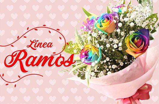 Categorias Ramos - Flowerstore