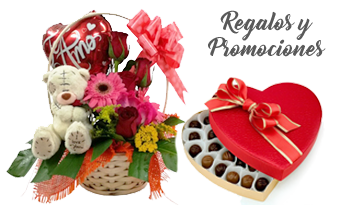 Regalos y Promociones - Flowerstore